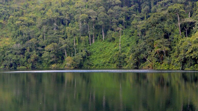 Cameroon landscapes