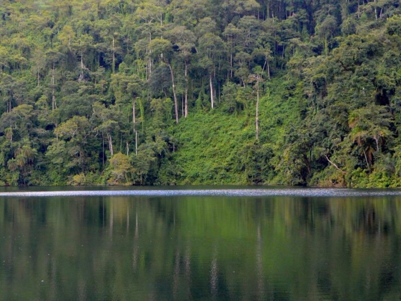 Cameroon landscapes