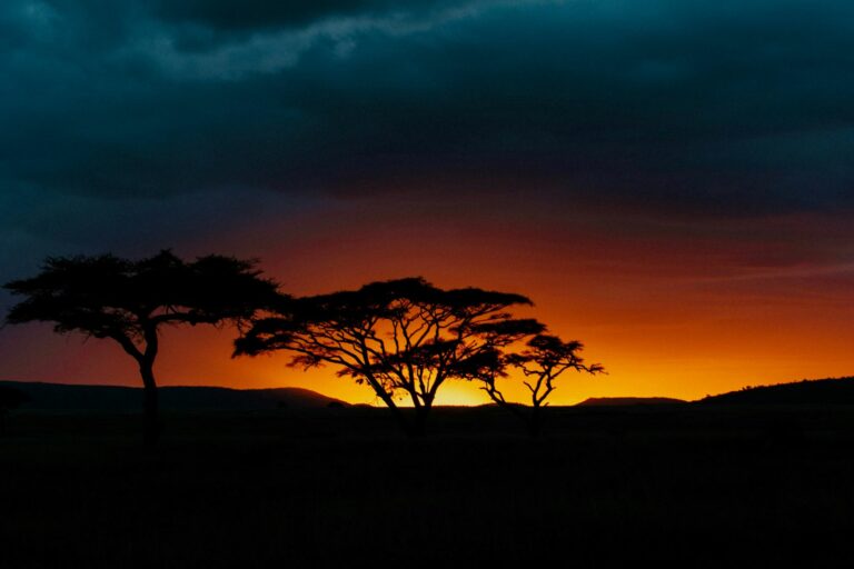 Africa's unmatched beauty and wide array of wildlife make it the perfect game hunting destination.
