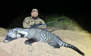 Civet Hunt