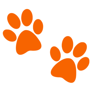 Hunting Broker - Discover Hunts in Africa