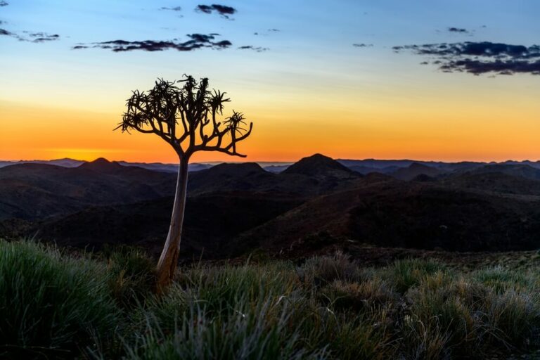 Hunting Safaris in Africa, Beautiful View of the landscape in Botswana