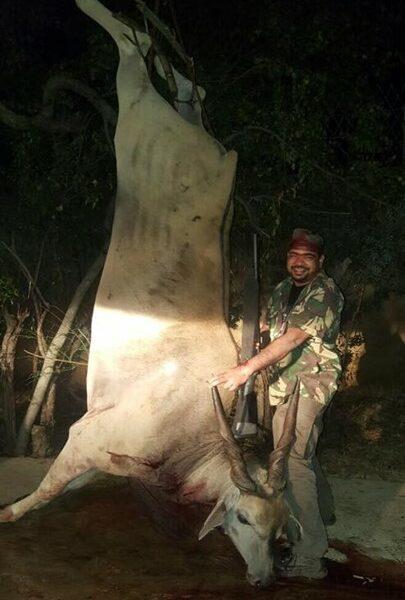Kay with his trophy eland trophy, Africa plains game trophy