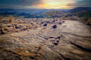 Landscape 2