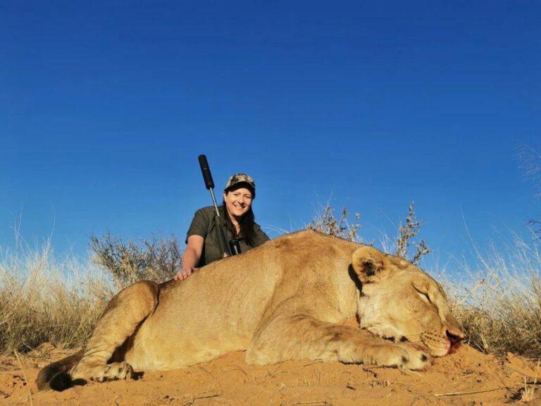 female with lioness