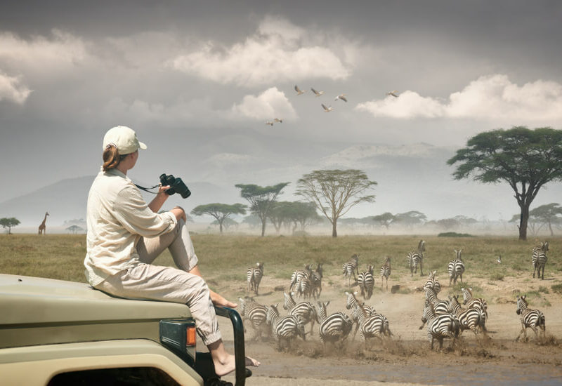 Tourist on Safari in Serengeti, Botswana