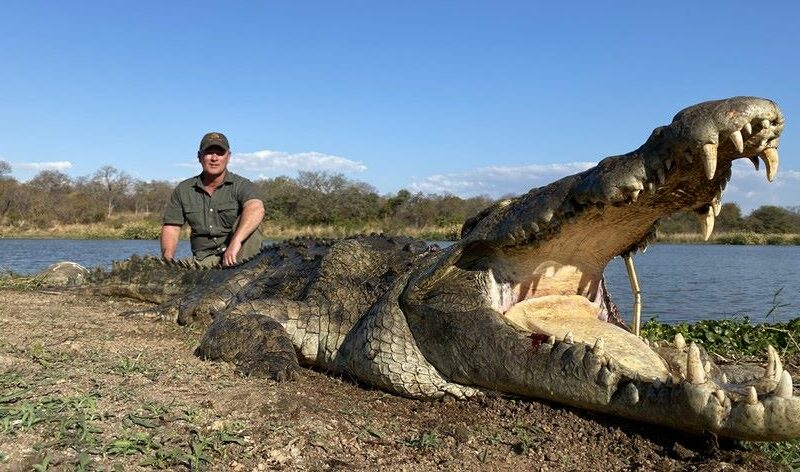Man posing with crocodile