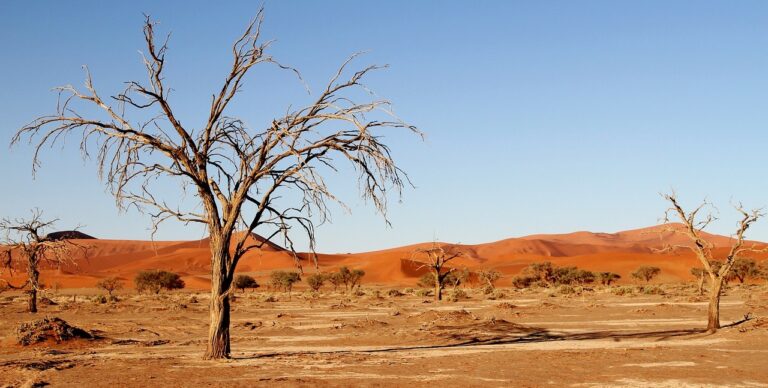 The Kalahari Desert is home to many dangerous and big game hunting safaris