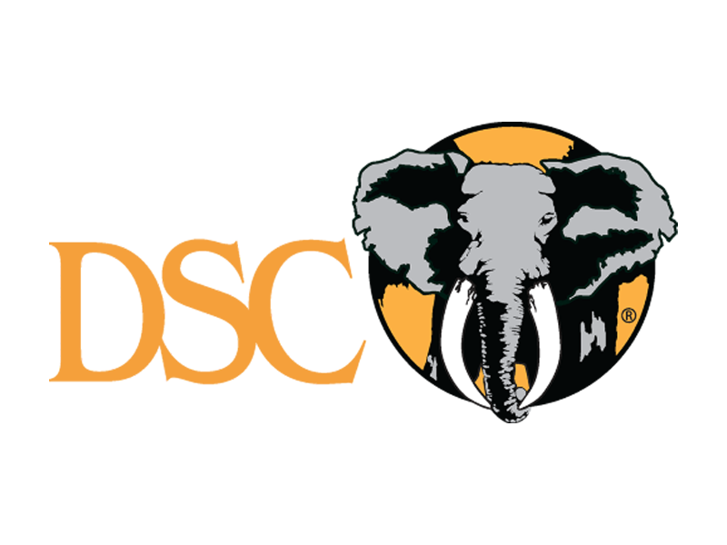 DSC