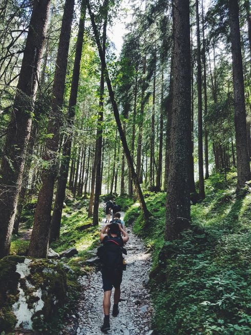 People walking on a path
