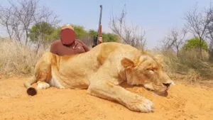 Leopard Hunting in Namibia & Brown Hyena Cancelation Hunt