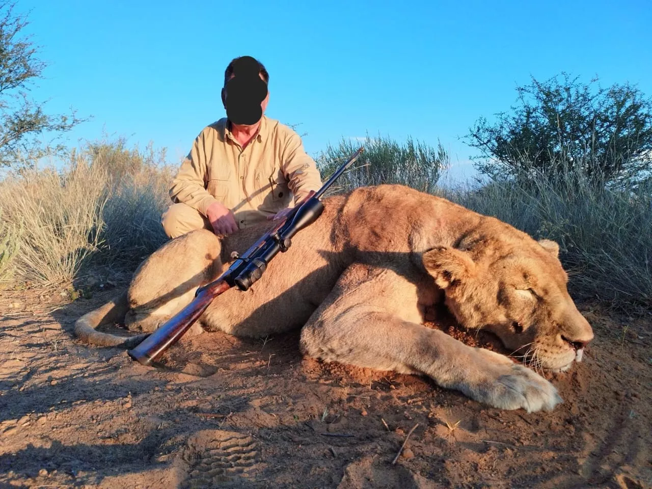 Leopard Hunting in Namibia & Brown Hyena Cancelation Hunt