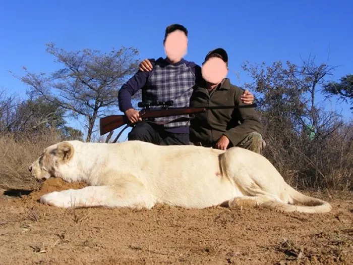 Leopard Hunting in Namibia & Brown Hyena Cancelation Hunt