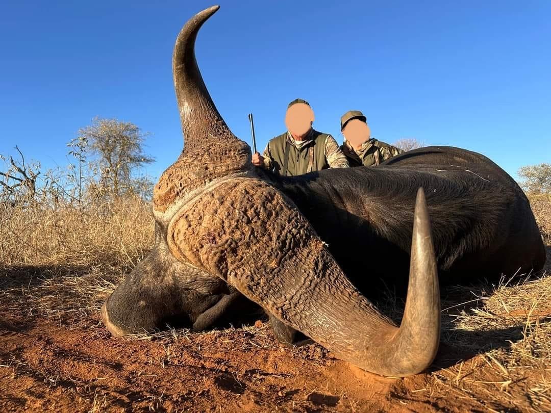 Leopard Hunting in Namibia & Brown Hyena Cancelation Hunt