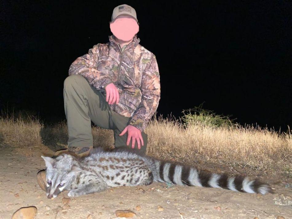 Hunting Adventures with Honey Badger & 4 Species in Limpopo