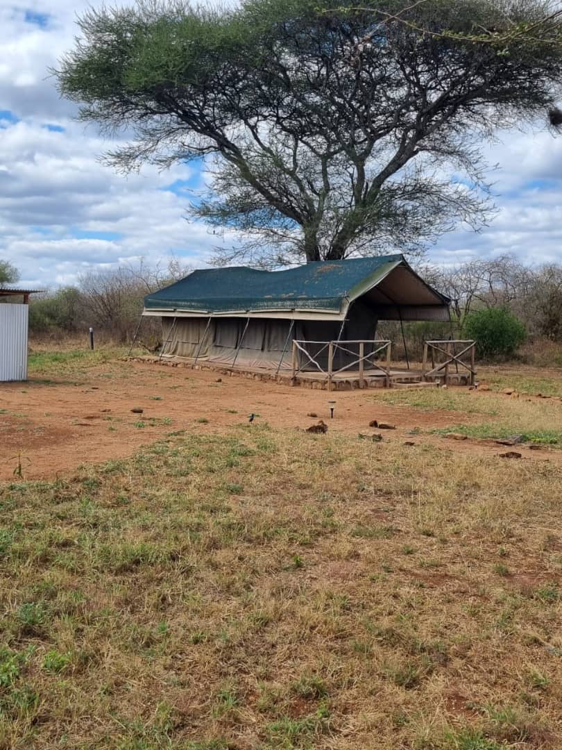 Leopard Hunting in Namibia & Brown Hyena Cancelation Hunt