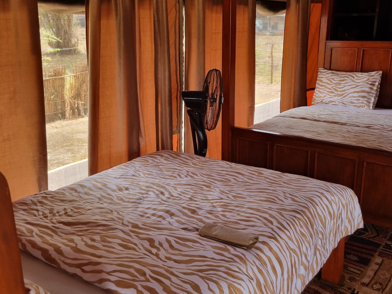 Leopard Hunting in Namibia & Brown Hyena Cancelation Hunt