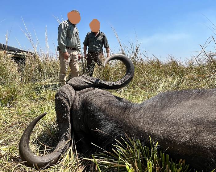 Leopard Hunting in Namibia & Brown Hyena Cancelation Hunt