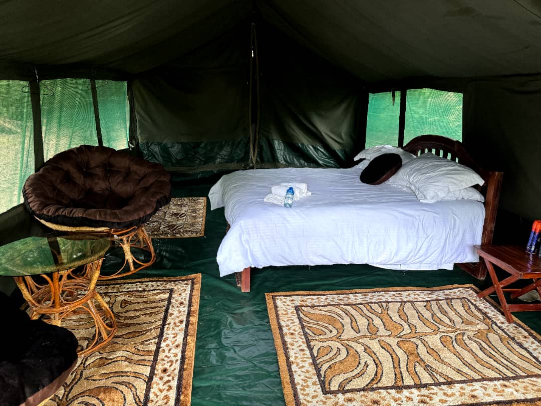 Leopard Hunting in Namibia & Brown Hyena Cancelation Hunt