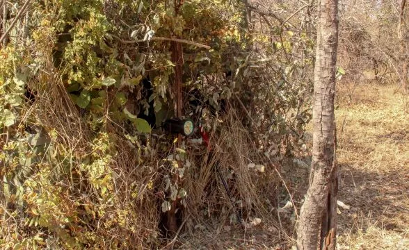 Leopard Hunting in Namibia & Brown Hyena Cancelation Hunt