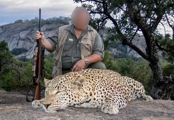 Leopard Hunting in Namibia & Brown Hyena Cancelation Hunt