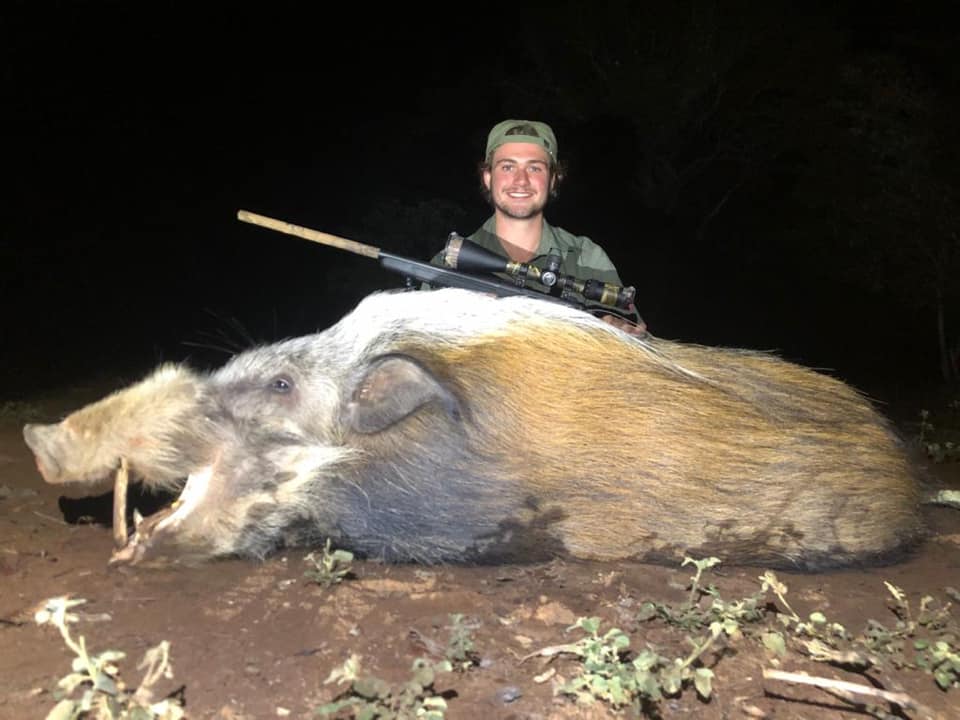 Leopard Hunting in Namibia & Brown Hyena Cancelation Hunt
