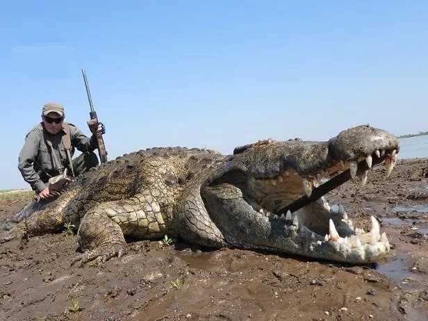 Leopard Hunting in Namibia & Brown Hyena Cancelation Hunt