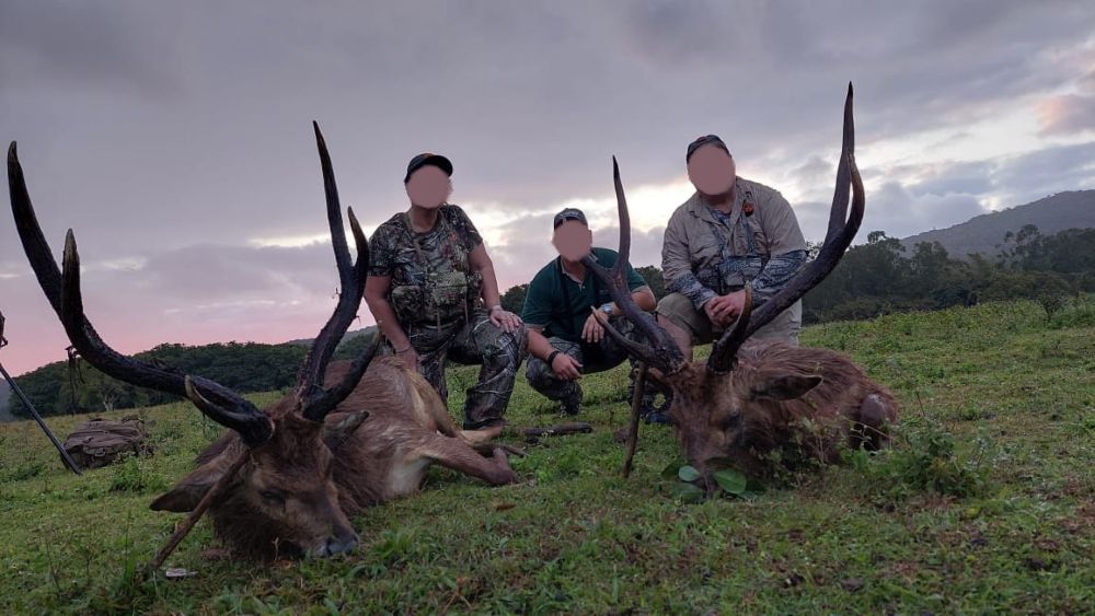 Leopard Hunting in Namibia & Brown Hyena Cancelation Hunt
