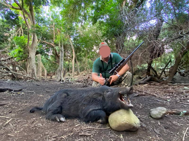 Leopard Hunting in Namibia & Brown Hyena Cancelation Hunt