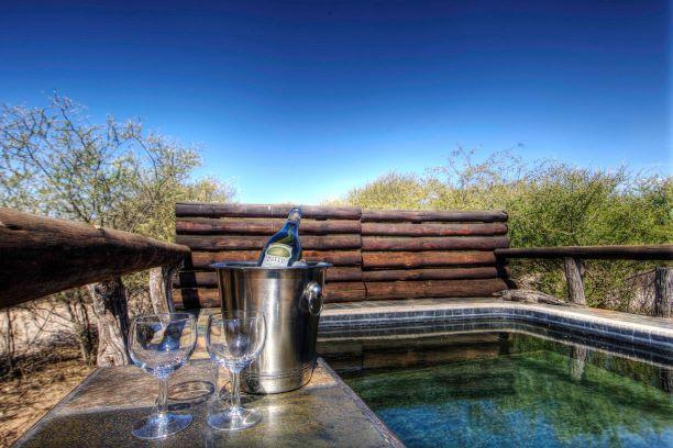 Leopard Hunting in Namibia & Brown Hyena Cancelation Hunt