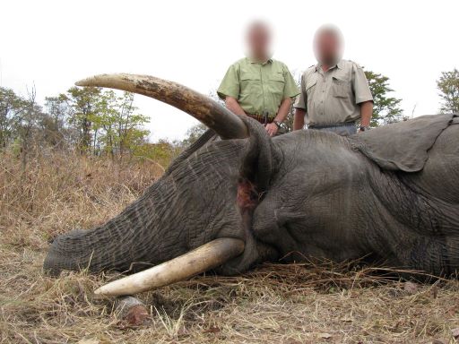 Leopard Hunting in Namibia & Brown Hyena Cancelation Hunt