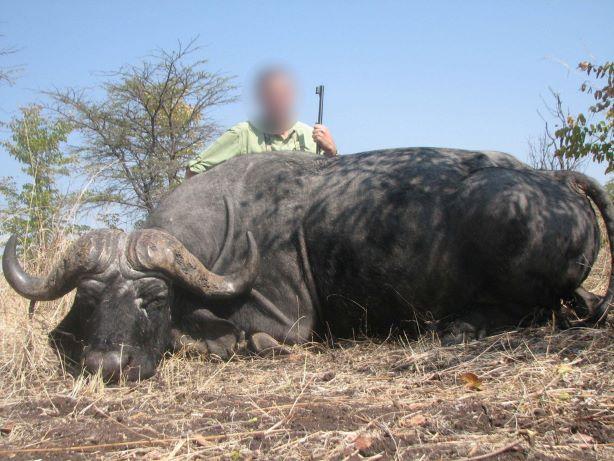 Leopard Hunting in Namibia & Brown Hyena Cancelation Hunt