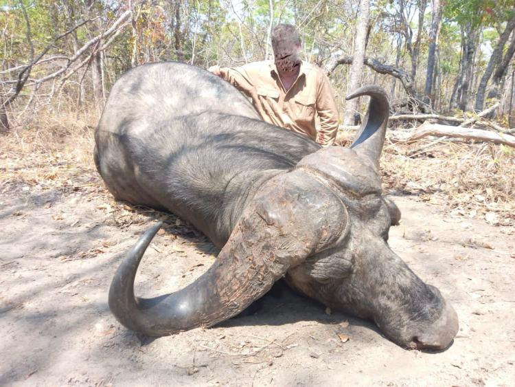 Leopard Hunting in Namibia & Brown Hyena Cancelation Hunt