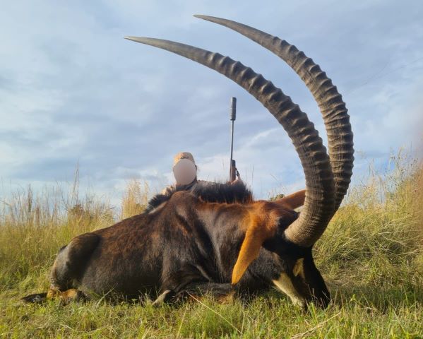 Leopard Hunting in Namibia & Brown Hyena Cancelation Hunt