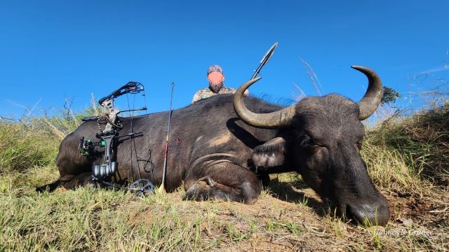 Leopard Hunting in Namibia & Brown Hyena Cancelation Hunt