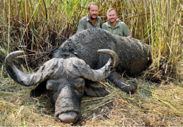 Leopard Hunting in Namibia & Brown Hyena Cancelation Hunt