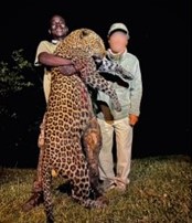 Leopard Hunting in Namibia & Brown Hyena Cancelation Hunt