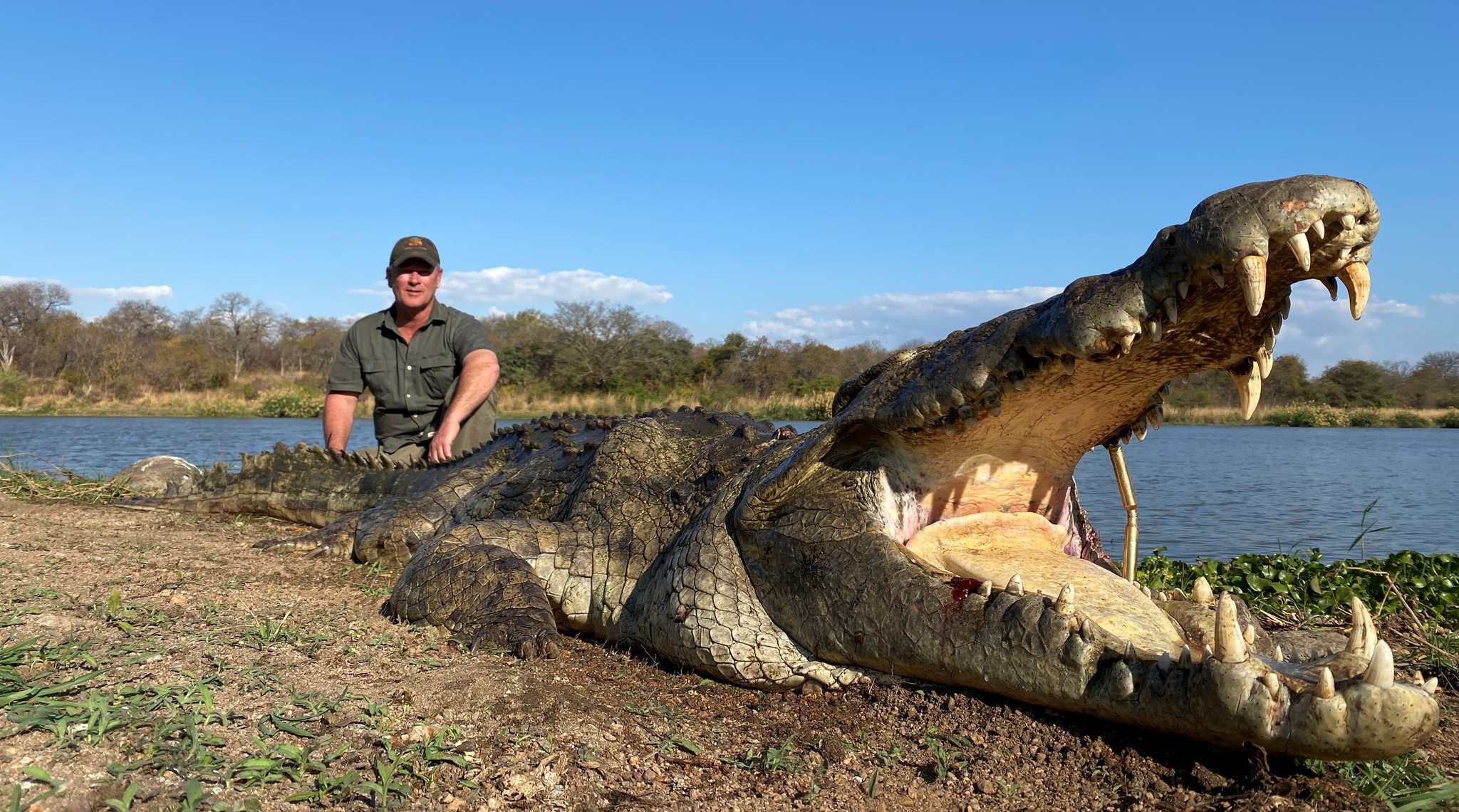Leopard Hunting in Namibia & Brown Hyena Cancelation Hunt