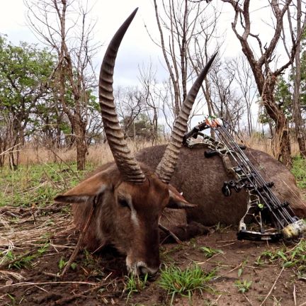Leopard Hunting in Namibia & Brown Hyena Cancelation Hunt