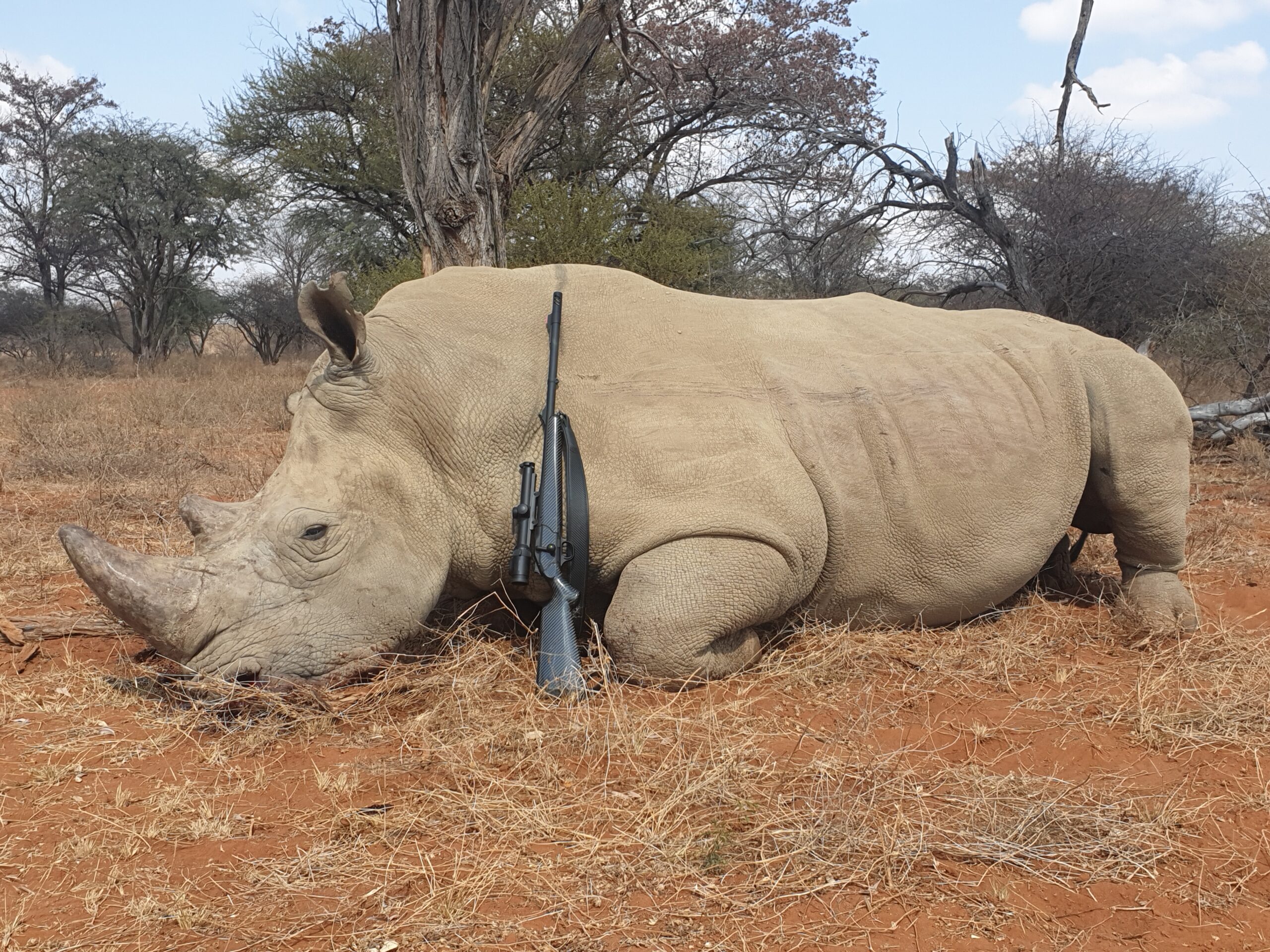 Leopard Hunting in Namibia & Brown Hyena Cancelation Hunt