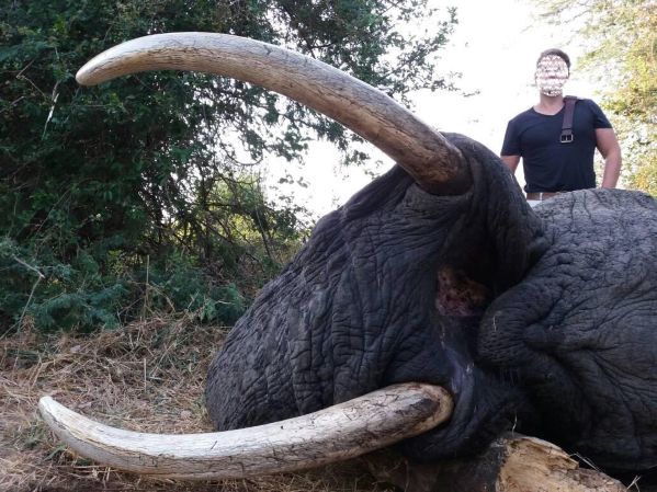 Leopard Hunting in Namibia & Brown Hyena Cancelation Hunt