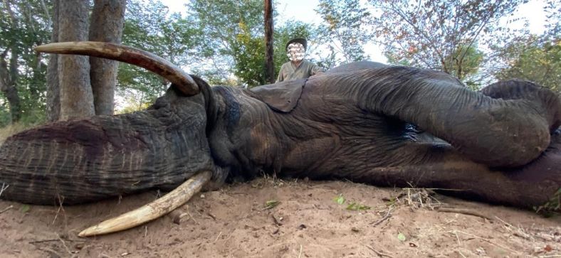 Leopard Hunting in Namibia & Brown Hyena Cancelation Hunt