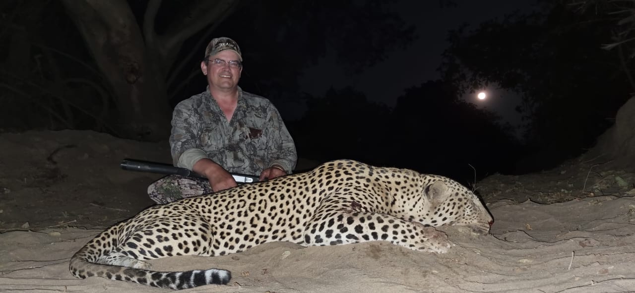 Leopard Hunting in Namibia & Brown Hyena Cancelation Hunt