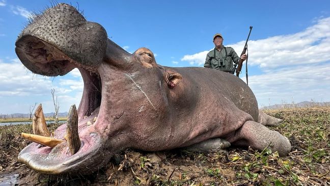 Leopard Hunting in Namibia & Brown Hyena Cancelation Hunt