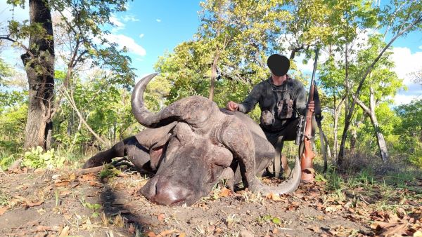 Buffalo Hunting & 30 African Plains Game Trophies 2:1