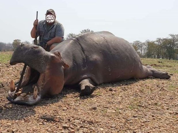 Leopard Hunting in Namibia & Brown Hyena Cancelation Hunt