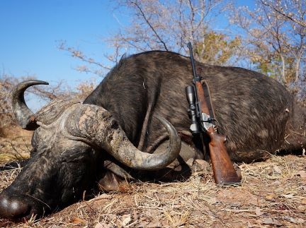 Leopard Hunting in Namibia & Brown Hyena Cancelation Hunt