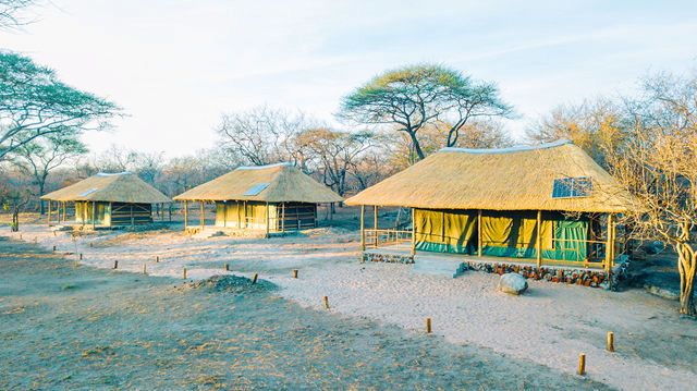 Leopard Hunting in Namibia & Brown Hyena Cancelation Hunt