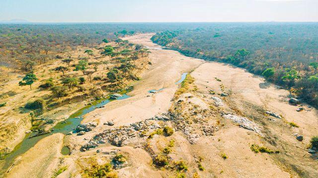 Leopard Hunting in Namibia & Brown Hyena Cancelation Hunt