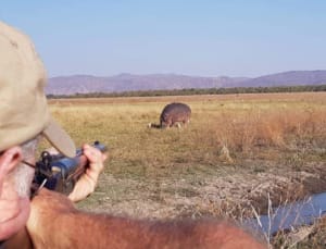 Leopard Hunting in Namibia & Brown Hyena Cancelation Hunt